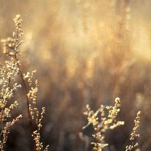 二人世界高清视频播放
